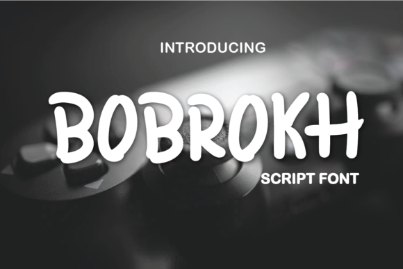 Bobrokh: The Bouncy Display Font for Memorable Brands
