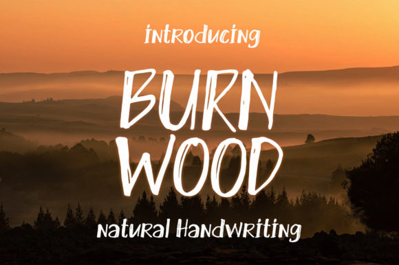 Burn Wood: A Quirky Display Font for Digital Design